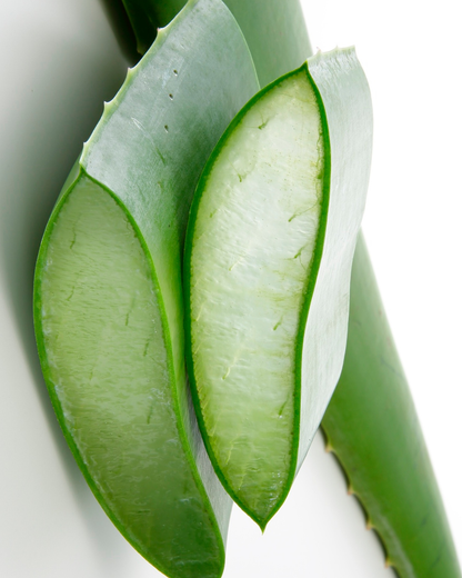 Nasandracosmetics Hydrating Lip Oil Duo | Aloe & Mango refreshing oil, glossy finish and non sticky