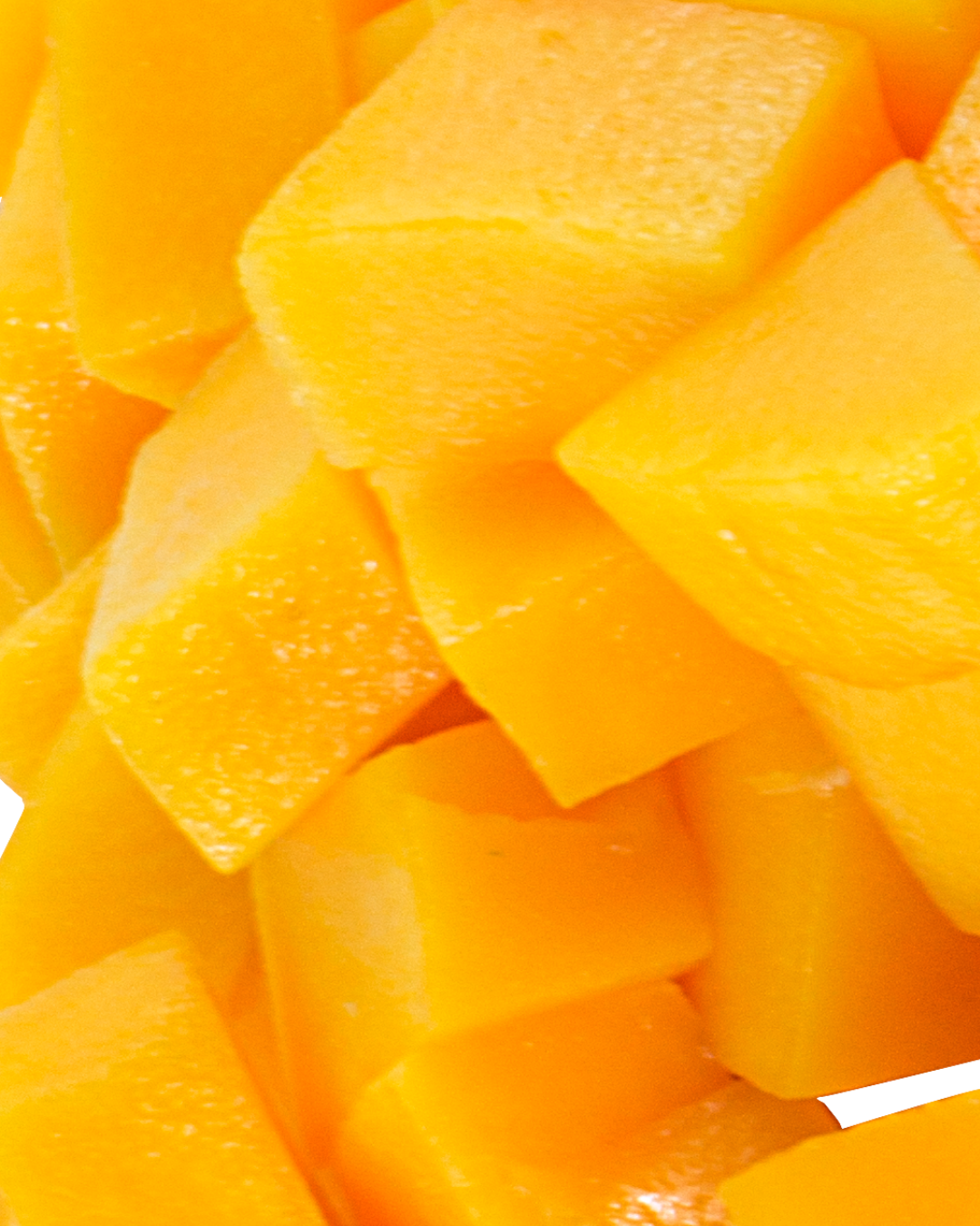 Nasandracosmetics Hydrating Lip Oil Duo | Aloe & Mango refreshing oil, glossy finish and non sticky